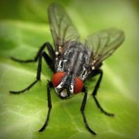 /album/groupraracesscos/photolia-a01-jpg/