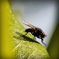 /album/groupraracesscos/photolia-a04-jpg/