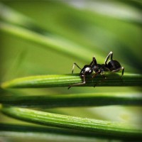 /album/groupraracesscos/photolia-a05-jpg/