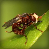 /album/groupraracesscos/photolia-a06-jpg/