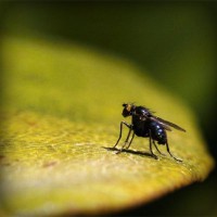 /album/groupraracesscos/photolia-a07-jpg/